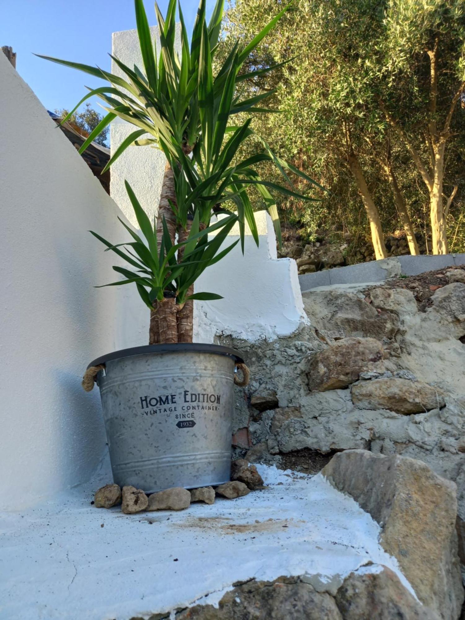 הוילה אלנקר Casa25 מראה חיצוני תמונה